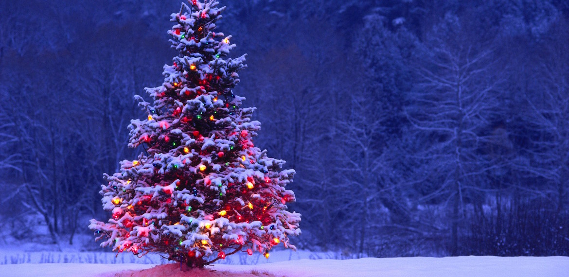 Happy Holidays Slider Image